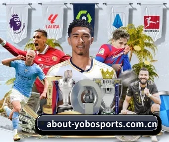 YOBO体育 APP